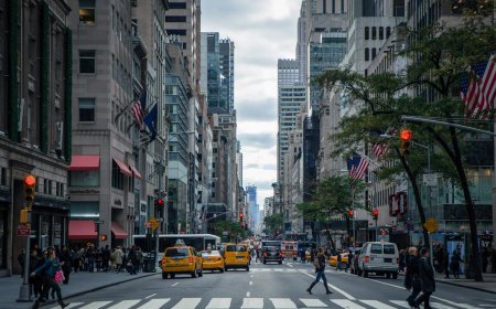The USA Crackdown on International Students: What's Actually Happening
