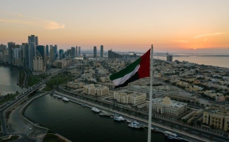 Free Zone vs Mainland in the UAE: What You  Actually Need to Know 