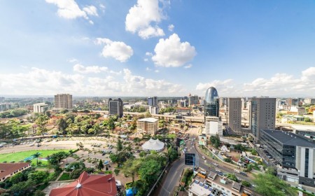Kenya's Growing Economy: The Sectors Foreign Founders Are Moving Into in 2026